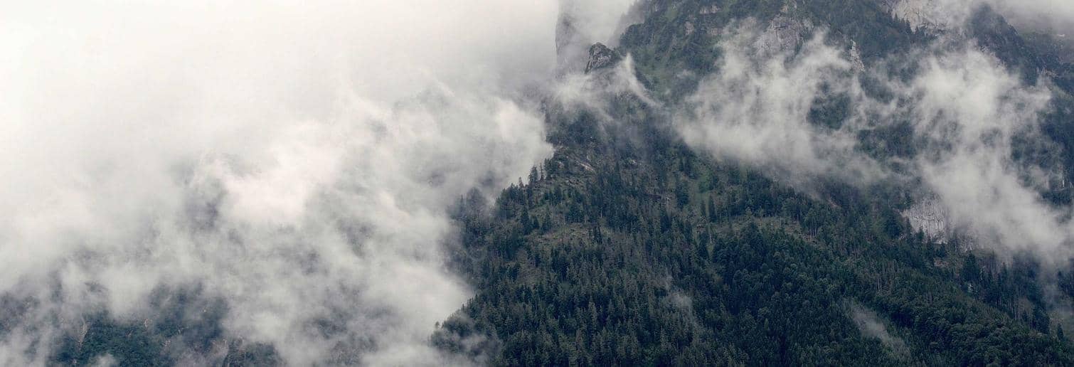 Test_HZdWtjwvPL FAswDEfOdY